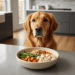 Fundamentos da Nutrição para Cães Saudáveis 8 fundamentos da nutricao para caes saudaveis